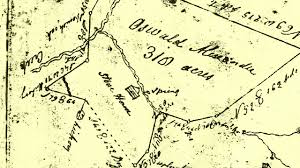 Unexpected Homeschoolers