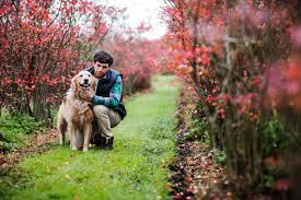 In the united states, your dog must get akc's canine good citizen. Therapy Dogs To Improve Mental And Physical Health