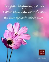 Starkeworte On Instagram Begegnung Lebensgefuhl Natur Starkeworte Wahreworte Spruchdestages Finden Suchen B In 2020 Starke Worte Spruche Bilder Mit Spruchen