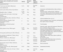 Image result for Eremospatha haullevilleana