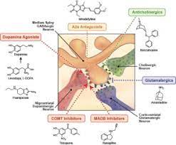 What treatment options are available for parkinson's disease? Current Approaches To The Treatment Of Parkinson S Disease Sciencedirect
