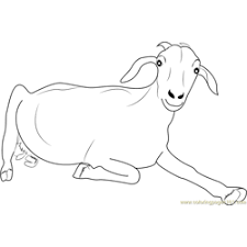 Here is a collection of some easy coloring pages for preschoolers for your young children. Baby Goat Coloring Page For Kids Free Goat Printable Coloring Pages Online For Kids Coloringpages101 Com Coloring Pages For Kids