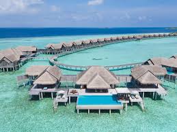 We did not find results for: Les Plus Beaux Hotels Bungalow Sur Pilotis Pour Un Sejour Romantique