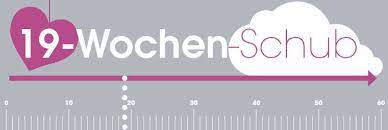 Entwicklungswoche deines babys bekommst du auch in diesem video: Wachstumsschub Baby 8 Baby Schube Im Uberblick Kidsgo
