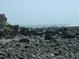 第六回化石の発掘 千葉県銚子 子育て父さんの天才遊びマップ 趣味は育児