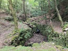 世界でも珍しい「市街地近くの太古の森！」1200年人の手が加わってない世界遺産「春日山原始林」を歩く奈良・『春日山遊歩道』の魅力とは？｜トラベル｜ニュース｜BRAVO  MOUNTAIN