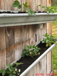 Hopefully this can give you a few ideas on how to do yours! Pin By Tina Klix On Garden Ideas Gutter Garden Diy Gutters Plants