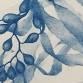 Cyanotype Workshop event image