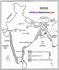Pin On Mp Board Class 9th English Medium