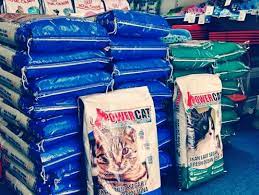 Makanan kucing persia biar gemuk. Cara Merawat Kucing Persia Agar Gemuk Dan Sehat Hobinatang