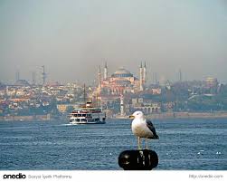 Unlu Sairlerimizin Kaleminden Guzide Sehrimiz Istanbul Icin Yazilmis En Guzel 19 Siir Istanbul Turkey Photos