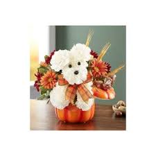 We deliver anywhere in the valley of the sun; 1 800 Flowers A Dog Able For Fall Fall Flowers Thanksgiving Flowers Halloween Flowers