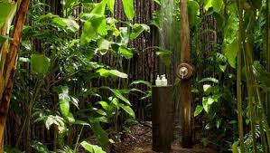 Gartendusche Sichtschutz Ideen Fur Die Outdoor Dusche Gesucht Dschungel Badezimmer Indoor Garten Garten