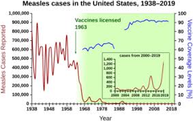 Halima cissé gave birth to the nonuplets in morocco. Vaccine Hesitancy Wikipedia