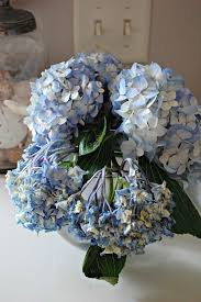 Maybe you would like to learn more about one of these? Pin On Hydrangea