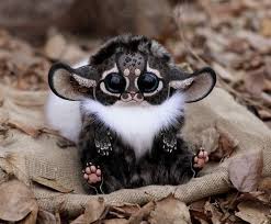 Jo On Twitter Cute Baby Animals Cute Animals Baby Animals