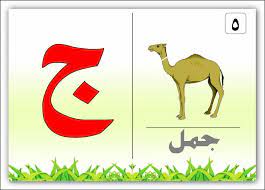 الأبجدية العربية حرف الجيم arabic alphabet alphabet flashcards learning arabic