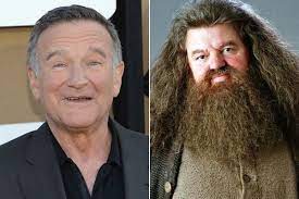 Here are the the best harry potter movies, err, sorted into a definitive top ten. Robin Williams As Hagrid All The Actors Who Could Have Been In The Harry Potter Movies Zimbio