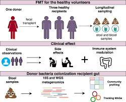  errors may not be. Long Term Impact Of Fecal Transplantation In Healthy Volunteers Bmc Microbiology Full Text