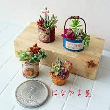 539 otmetok nravitsya 56 kommentariev miniature はなやま屋 hanayama05 v instagram 木工に飽きたので 粘土多肉植 miniature fairy gardens succulent art miniature plants