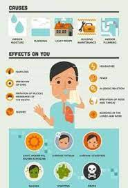 Pin On Body And Health