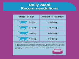 So, in summary, i give nala ¼ can of wet food per day and ½ cup of dry food per day. How Much Dry Food For Cat Per Day Catwalls