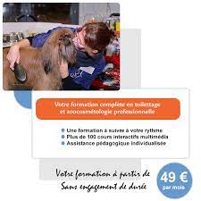 Devenez Toiletteur Professionnel Grace A La Formation De Toilettage Toilettage Toiletteur Toilettage Canin