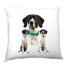 Image result for auvergneský ohař