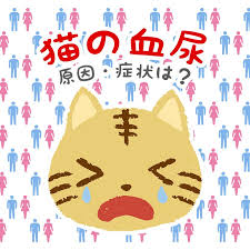 愛猫のトイレ 毎日チェックしていますか 排泄のチェックは愛猫の健康状態を知るための重要な手がかりです 血尿は 尿石症や膀胱炎 尿路感染症の症状のひとつですが 猫のトイレは猫砂で尿が固まるタイプを使用している場合など 血尿に気づかない飼い主さんが多いの