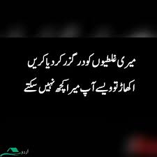 Jokerstatus #attitude_poetry #attitudestatus #mehsherafridi disclaimer : Attitude Funny Urdu Captions For Instagram Daily Quotes