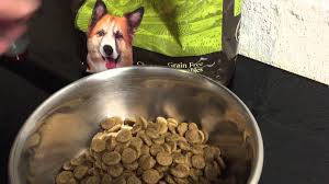 Is your pooch in need of low fat dog food? Purchase 4health Dog Food Website Up To 71 Off