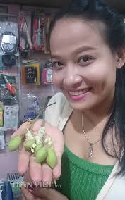 NHÀ NÔNG Trái hoang thành “kỳ tửu” miền Tây