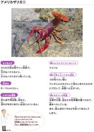 Maybe you would like to learn more about one of these? ã¢ã¡ãªã«ã¶ãªã¬ã æ¥ã«è¦ãããå¤æ¥ç¨® æ¢æ¤ããã ãããã®ã«ãããã¾ã¡ é¹¿å³¶å»ºè¨­æ ªå¼ä¼ç¤¾