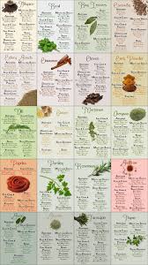 food spice pairings in 2019 spice chart homemade spices