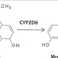 Codeine can be hepatotoxic so more than as liquid is best ingested, as it is a quicker design. Pdf A Death Knell For Codeine For Acute Pain After Craniotomy