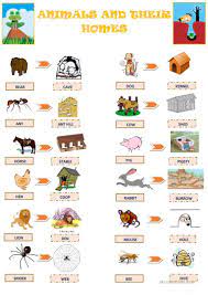 Animals And Their Homes Worksheet Free Esl Printable Worksheets Made By Teachers Animals And Their Homes Animals For Kids Animal Lessons