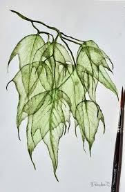 Botanical Art