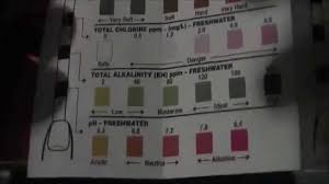 Tetra Easy Strips 6 In 1 Color Chart 20 Best Of Tetra 6