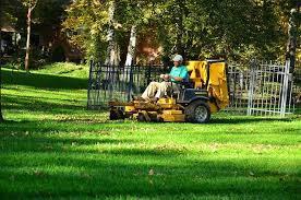 Your search for all jobs in nashville, tn, us resulted in 4 matches. Lawn Care And Landscaping Blog Lawn Care Lawn Service Landscaping Jobs