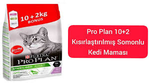 Duphalac Surup Kabiz Olan Kediler Ve Kopekler Icin Surup Youtube