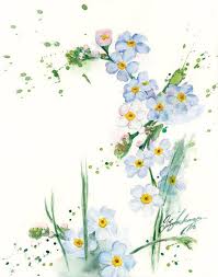 Search for your perfect free flowers vector graphics through millions of free images from all over the internet. Forget Me Nots Watercolor Print Flower Painting Flowers Blue Flower Print Spring Flower Art Floral Blue Flower Painting Floral Prints Art Flower Painting