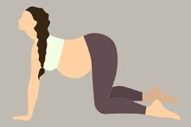 We did not find results for: Yoga Poses For Pregnant Women Health Care News