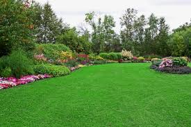 Part of spring lawn care involves clearing away the ravages of winter. Spring Lawn Care Advice Lawn Care Stauffers Of Kissel Hill