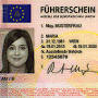 EU-Führerschein from de.wikipedia.org
