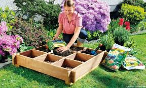 Cara Membuat Kebun Minimalis 1 M Di Rumah Desain Hingga Bibit Pilihan