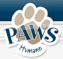 Adopt A Loving Companion From Paws Humane Animal Adoption Center And Low Income Veterinary Service Provider Pet Adoption Center Veterinary Services Paw