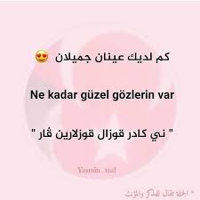 Pin By ميرا محمد On New Person Learn Turkish Language Turkish Language Turkish Lessons