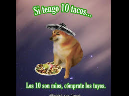 Mar 26, 2019 · te contamos los mejores chistes de animales para hacer reír a los niños. Los Mejores Memes Del Dia Mundial Del Perro Memes Mag