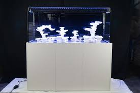 Ap Reeftank 360 100x60x60 Cm Poolbecken Mit Unterschrank Pool Becken Unterschrank Led