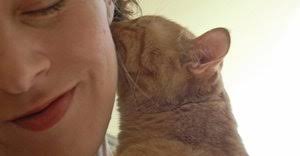 Scientists Have Discovered Why Cats Love Tuna So Much